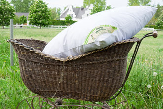 baby-decke-sommer Babydecke Babykissen Sommer, 80x80cm, 200g, 90% Gänsedaune, für Kinderwagen, Wiege, Stubenwagen